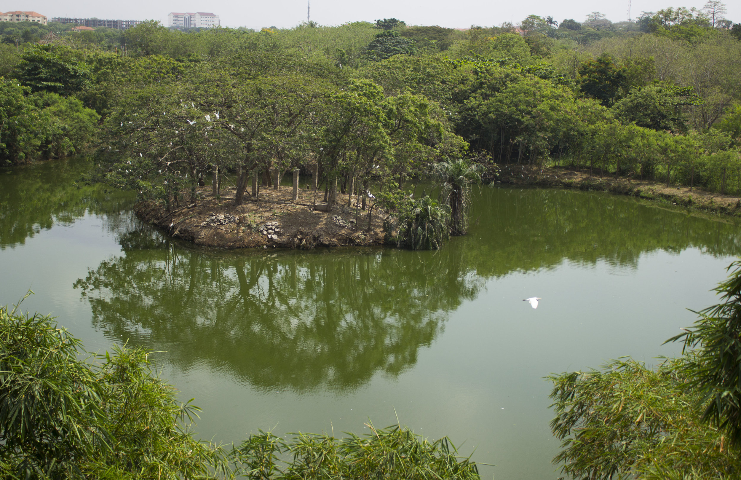 Legon Botanical Gardens | © LegonBotanicalGardens.com